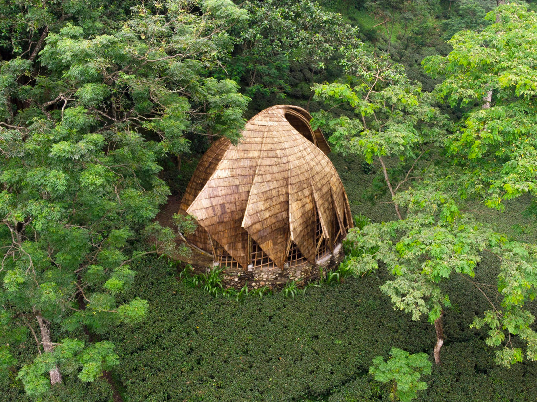 Celebrating Bamboo as a Revolution in Design: A Deep Dive into Mianzi’s Makaibari Tea Pavilion